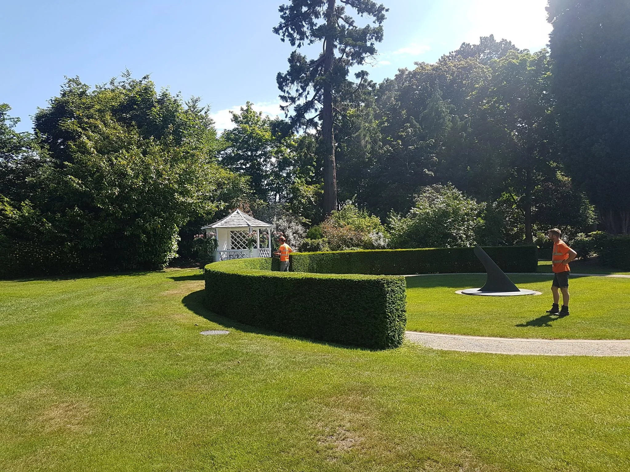 A person standing in the middle of a lush green park.