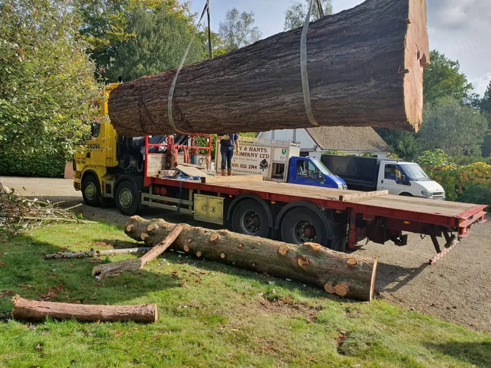 A truck carrying a large log on the back of it.